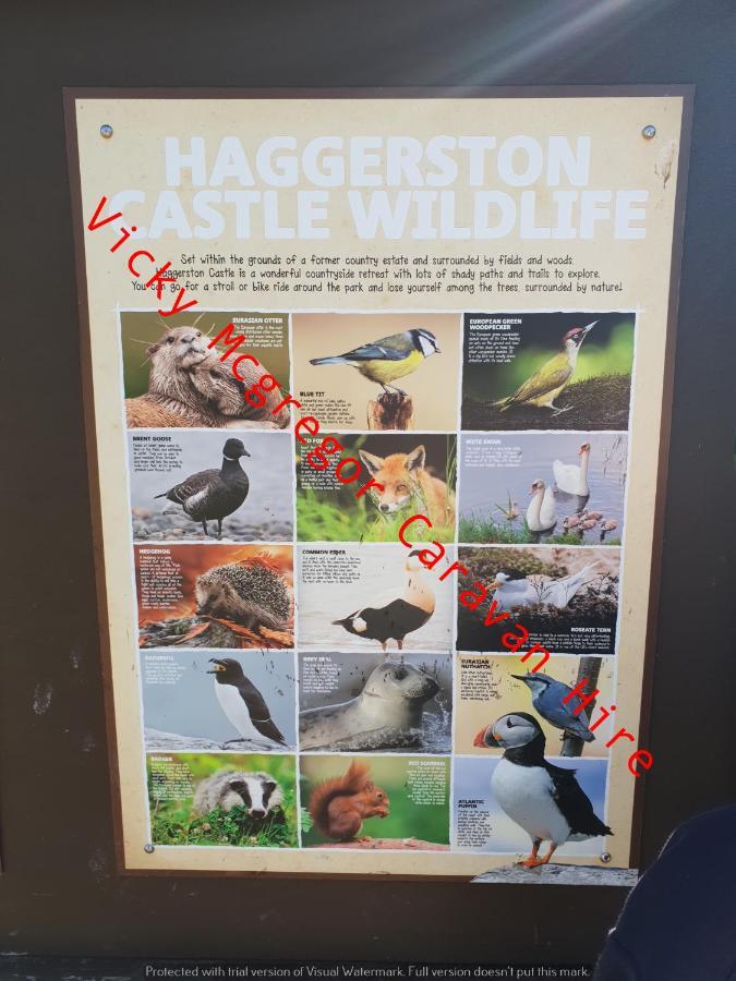 Haggerston Castle Tower Lawn Hire Hotel Berwick Upon Tweed Luaran gambar