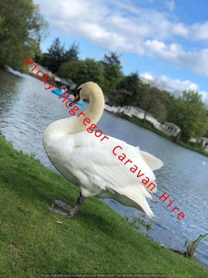 Haggerston Castle Tower Lawn Hire Hotel Berwick Upon Tweed Luaran gambar